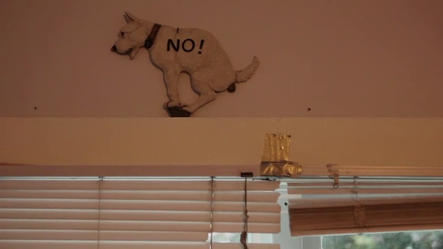 Video Reference: Wall, Room, Tail, Ceiling, Art