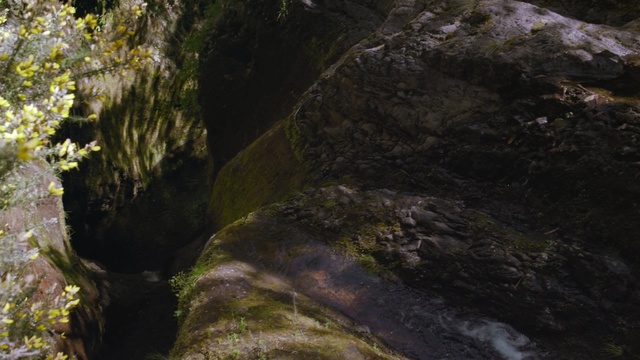 Video Reference: Rock, Formation, Leaf, Tree, Water, Geology, Plant, State park, Sunlight, Watercourse