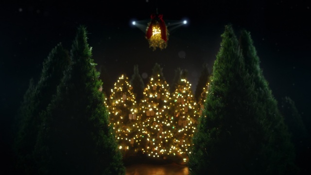 Video Reference: Nature, Darkness, Light, Green, Christmas lights, Lighting, Tree, Night, Christmas, Christmas decoration