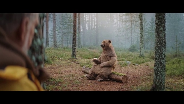 Video Reference: Wildlife, Terrestrial animal, Adaptation, Brown bear, Human, Tree, Organism, Snout, Photography, Grizzly bear