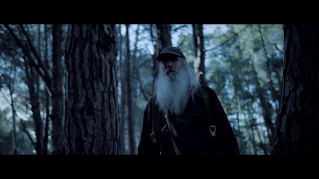 Video Reference: Beard, Hat, Tree, Flash photography, Wood, Facial hair, Overcoat, Forest, Moustache, Darkness