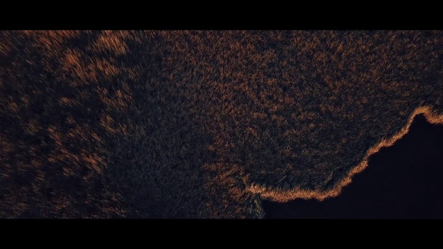 Video Reference: Black, Brown, Sky, Atmosphere, Soil, Textile, Wood, Rock, Photography, Geological phenomenon