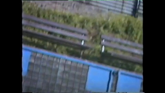 Video Reference: ecosystem, structure, mode of transport, grass, residential area, urban area, tree, line, fence, biome