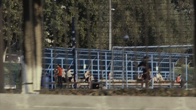 Video Reference: Tree, Sport venue, Net, Fence, Recreation, Zoo