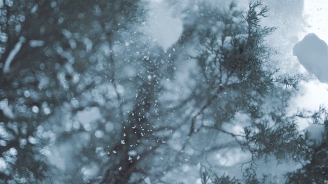 Video Reference: Water, Tree, Atmospheric phenomenon, Sky, Branch, Atmosphere, Winter, Freezing, Plant, Forest, Person