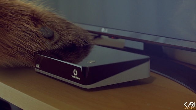 Video Reference: Gadget, Electronic device, Technology, Fur, Box
