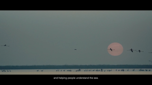 Video Reference: sky, atmosphere, daytime, horizon, moon, morning, calm, sea, water, computer wallpaper