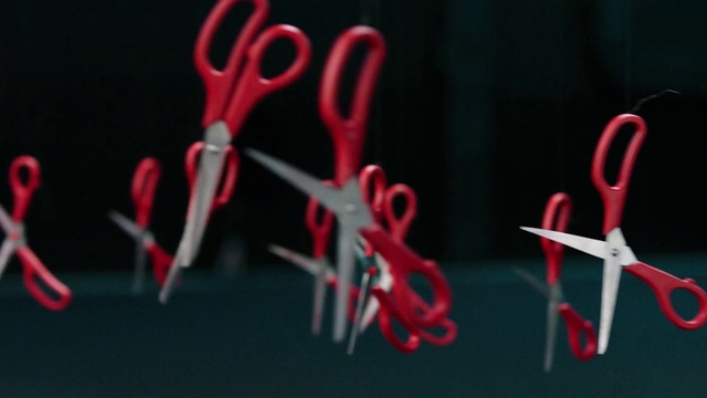 Video Reference: Red, Text, Organism, Font, Organ, Design, Photography, Graphic design, Calligraphy, Heart, Thing, Object, Indoor, Sitting, Table, Bicycle, Small, Player, Close, Black, Pair, Orange, Blue, White, Ball, Clock, Light, Train, Handwriting, Paper clip