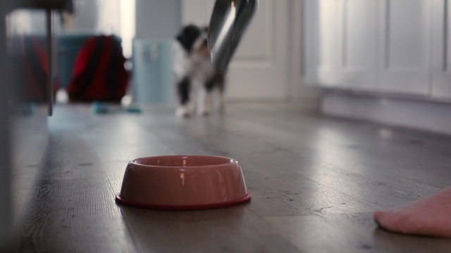 Video Reference: Floor, Flooring, Room, Hardwood, Wood, Table, Tile