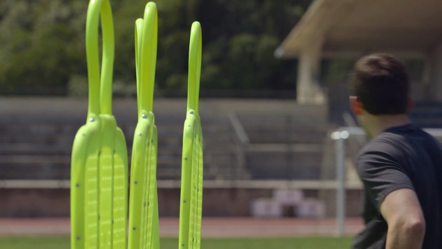 Video Reference: green, yellow, grass, plant, cricket bat, grass family, energy, leisure