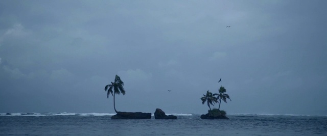 Video Reference: Sky, Sea, Ocean, Tropics, Tree, Island, Palm tree, Islet, Water, Arecales
