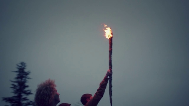 Video Reference: Sky, Plant, Winter, Cloud, Plant stem