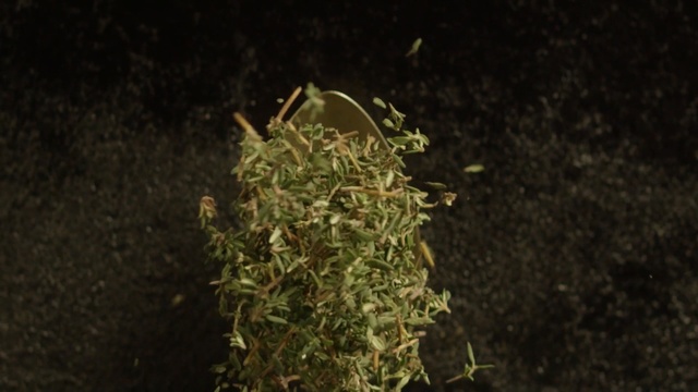 Video Reference: Green, Plant, Leaf, Grass, Organism, Night, Soil, Wildlife, Moss, Flower