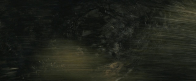 Video Reference: Black, Nature, Darkness, Brown, Sky, Water, Atmosphere, Wood, Tree, Space