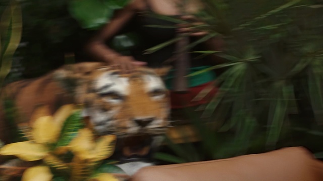 Video Reference: tiger, motion, jump