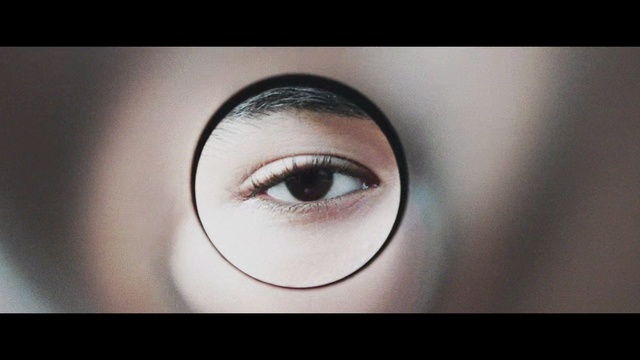 Video Reference: Eyebrow, Face, Eye, Eyelash, Skin, Close-up, Organ, Iris, Nose, Head