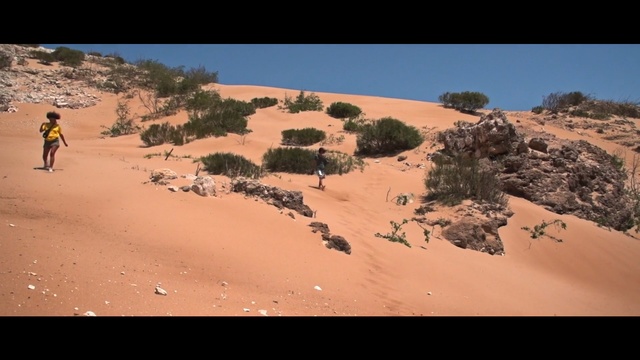 Video Reference: Sand, Desert, Natural environment, Aeolian landform, Landscape, Dune, Geology, Sahara, Ecoregion, Singing sand, Outdoor, Nature, Beach, Man, Mountain, Walking, Standing, Sandy, People, Water, Dirt, Riding, Dog, Group, Ocean, Motorcycle, Sky, Text, Tree, Sand dune, Blowout, Erg, Shore