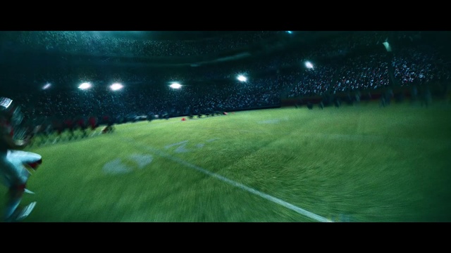 Video Reference: Sport venue, Stadium, Atmosphere, Soccer-specific stadium, Green, Grass, Artificial turf, Light, Arena, Grass family