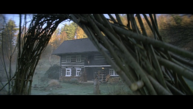 Video Reference: Nature, Tree, House, Biome, Snapshot, Log cabin, Pc game, Plant, Rural area, Landscape