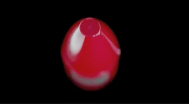 Video Reference: red, close up, macro photography, computer wallpaper, sphere, still life photography