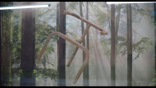 Video Reference: Nature, Tree, Forest, Wood, Woodland, Plant, Trunk, Plant stem, Art, Indoor, Window, Building, Room, Sitting, Table, Glass, Large, Vase, White, Standing, Young, Laying, Dog, Bear, Air, Man, Riding