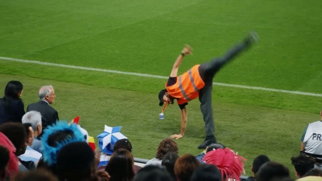 Video Reference: sport venue, sports, player, stadium, team sport, grass, ball game, football player, plant, sports training