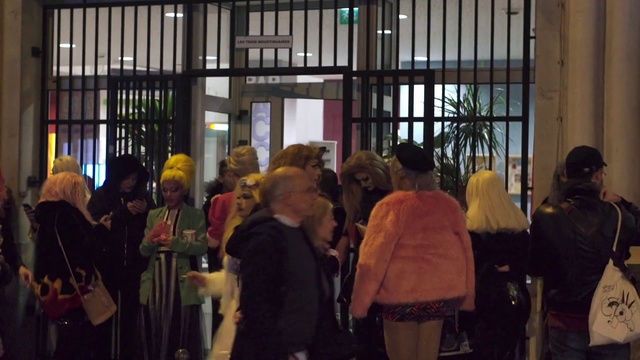 Video Reference: Crowd, People, Event, Community, Audience, Performance, Tourist attraction, Art