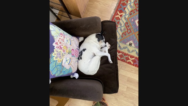 Video Reference: Couch, Furniture, Comfort, Room, Car seat, Chair