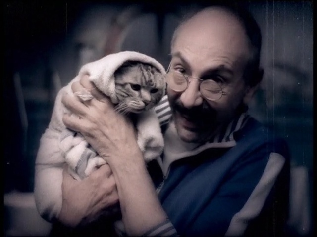 Video Reference: face, mammal, vertebrate, head, emotion, dog like mammal, human, snout, carnivoran, pug, Person