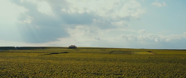 Video Reference: Field, Sky, Plain, Grassland, Farm, Natural environment, Agriculture, Prairie, Crop, Rural area