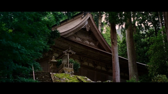 Video Reference: Nature, Temple, Place of worship, Building, Architecture, Jungle, Tree, Shrine, Shinto shrine, Historic site