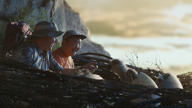 Video Reference: Adaptation, Photography