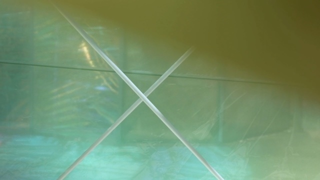 Video Reference: Green, Line, Light, Water, Flooring, Floor, Space, Pattern, Tile, Parallel