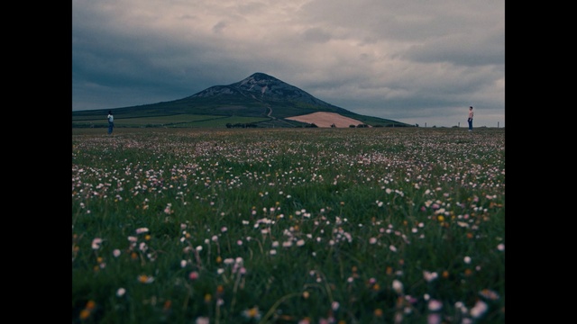 Video Reference: Nature, Grassland, Meadow, Field, Natural environment, Wildflower, Sky, Ecoregion, Plant, Flower