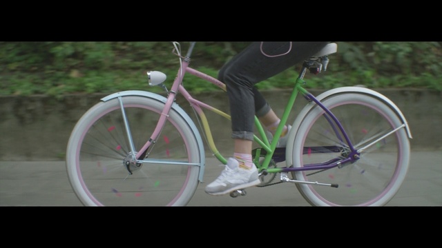 Video Reference: Land vehicle, Bicycle, Bicycle wheel, Bicycle frame, Bicycle part, Vehicle, Spoke, Road bicycle, Bicycle tire, Bicycle handlebar