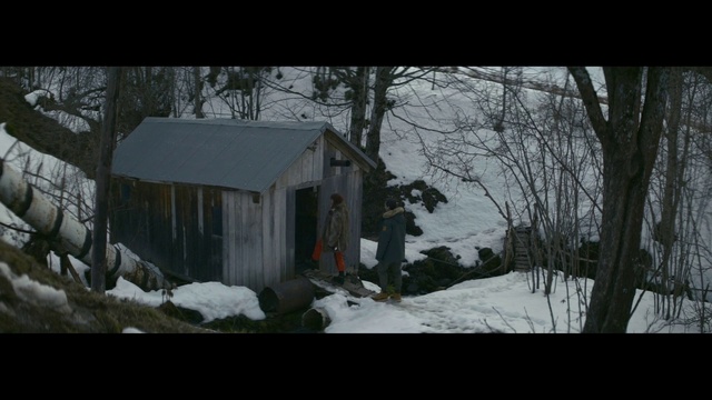 Video Reference: Snow, Winter, House, Freezing, Property, Shed, Tree, Shack, Home, Sugar house