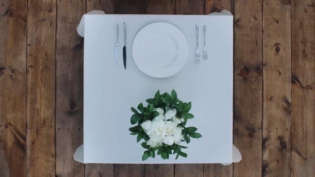 Video Reference: paper, frame, Person