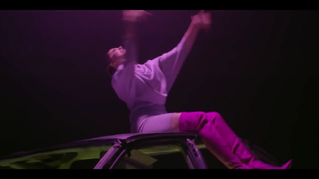 Video Reference: performance, performing arts, purple, dancer, entertainment, performance art, event, stage, concert dance, modern dance