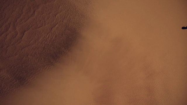 Video Reference: Brown, Skin, Neck, Beige, Cat, Man, Yellow, White, Sitting, Black, Riding, Standing, Fog