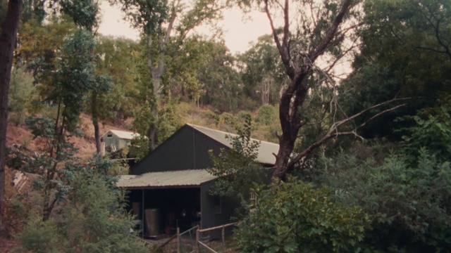 Video Reference: Nature, Vegetation, Jungle, House, Natural environment, Tree, Property, Forest, Nature reserve, Biome