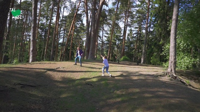 Video Reference: Tree, Woodland, Natural environment, Forest, Nature reserve, Biome, State park, Recreation, Leisure, Play