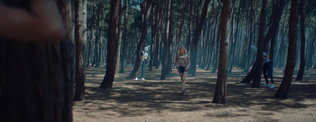 Video Reference: Tree, Natural environment, Forest, Woodland, Jogging, Woody plant, Running, Recreation, Grove, Plant
