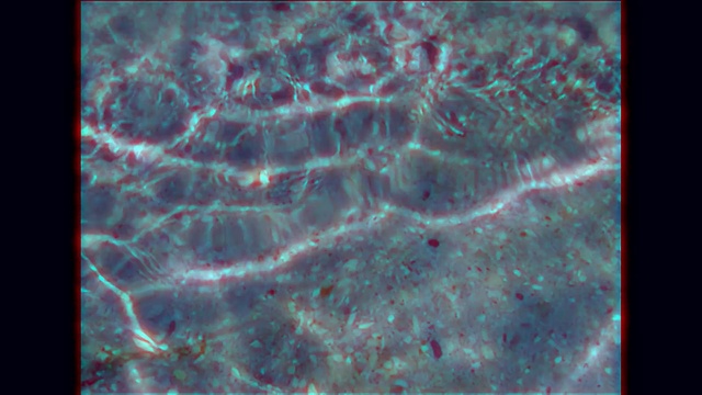 Video Reference: blue, organism, atmosphere, marine biology, underwater, water, pattern, earth, space, computer wallpaper