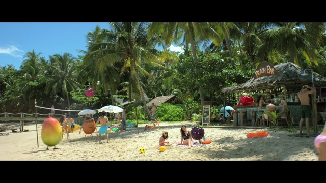 Video Reference: tree, beach, palm, tropical, coconut, woody plant, park, travel, vacation, sea, summer, paradise, sand, landscape