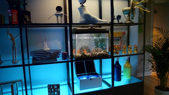 Video Reference: aquarium, glass
