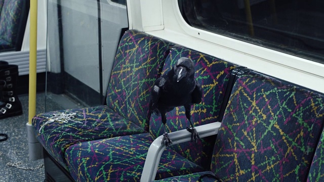 Video Reference: Pattern, Design, Textile, Room, Vehicle, Car