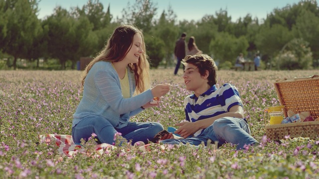 Video Reference: people, photograph, plant, sitting, grass, picnic, emotion, fun, field, girl, Person