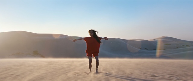 Video Reference: sand, desert, sky, aeolian landform, vacation, dune, erg, landscape, sahara, summer, Person