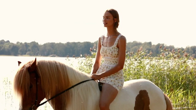 Video Reference: Horse, Rein, Horse tack, Mane, Equestrianism, Mare, Fun, Recreation, Photography, Horse supplies