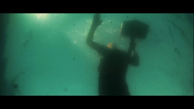 Video Reference: Underwater diving, Underwater, Scuba diving, Freediving, Recreation, Water, Divemaster, Organism, Marine biology, Underwater sports